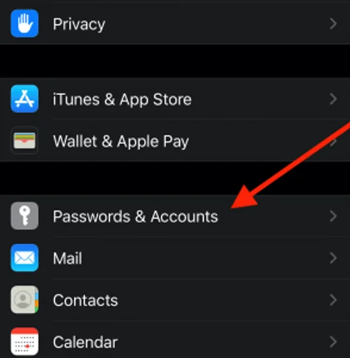 iOS Ayarlar menüsünde Parolalar ve Hesaplar bölümü