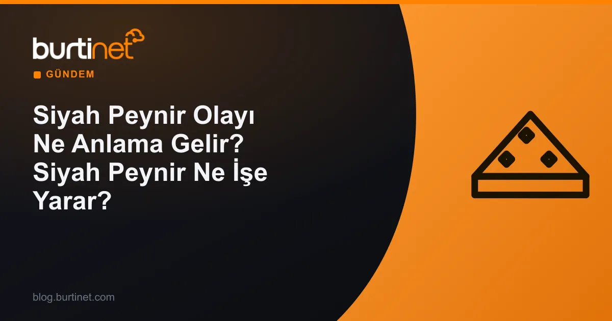 Siyah Peynir Olayı Ne Anlama Gelir? Siyah Peynir Ne İşe Yarar?