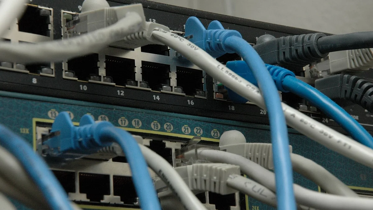 Ağ anahtarlarına takılı mavi ve gri ethernet kabloları