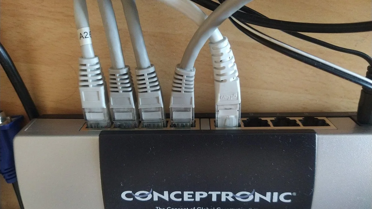 Sekiz portlu ethernet anahtarı ve bağlı ağ kabloları