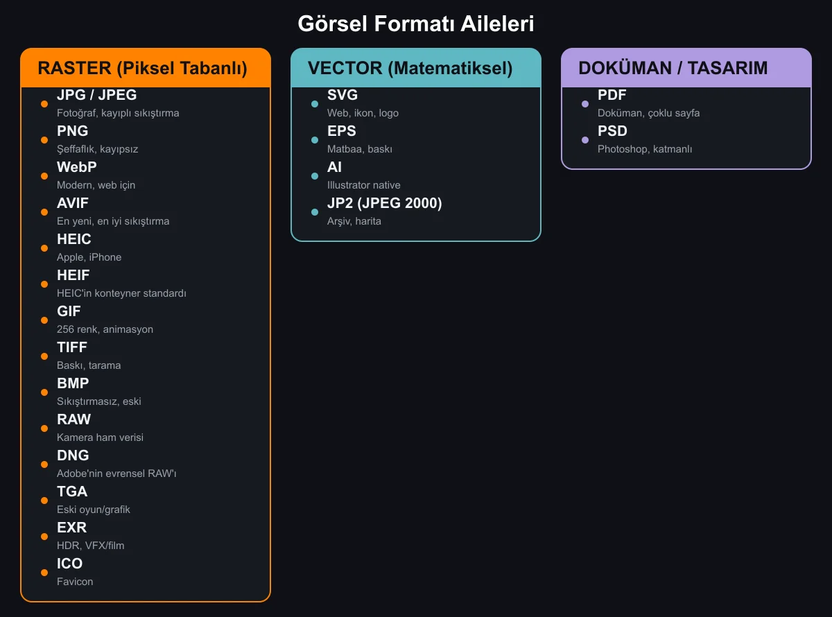 Görsel formatlarının raster, vector ve doküman/tasarım ailelerine göre sınıflandırılması