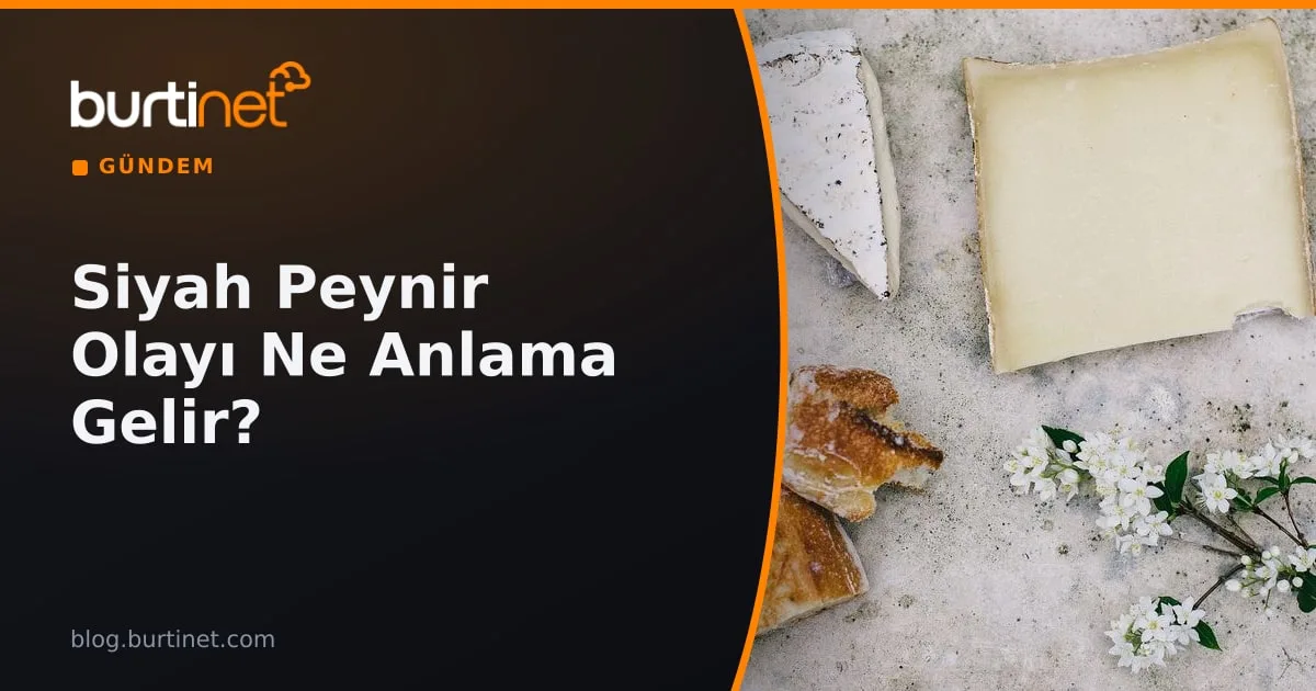 Siyah Peynir Olayı Ne Anlama Gelir? Siyah Peynir Ne İşe Yarar?