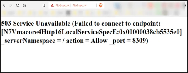 ESXi 503 Service Unavailable Hatası Çözümü