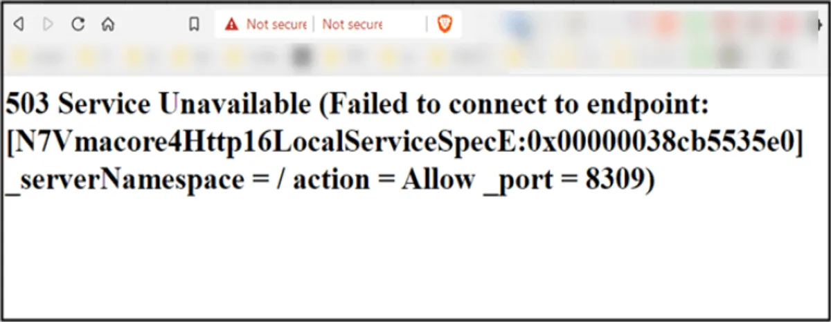 ESXi 503 Service Unavailable Hatası Çözümü
