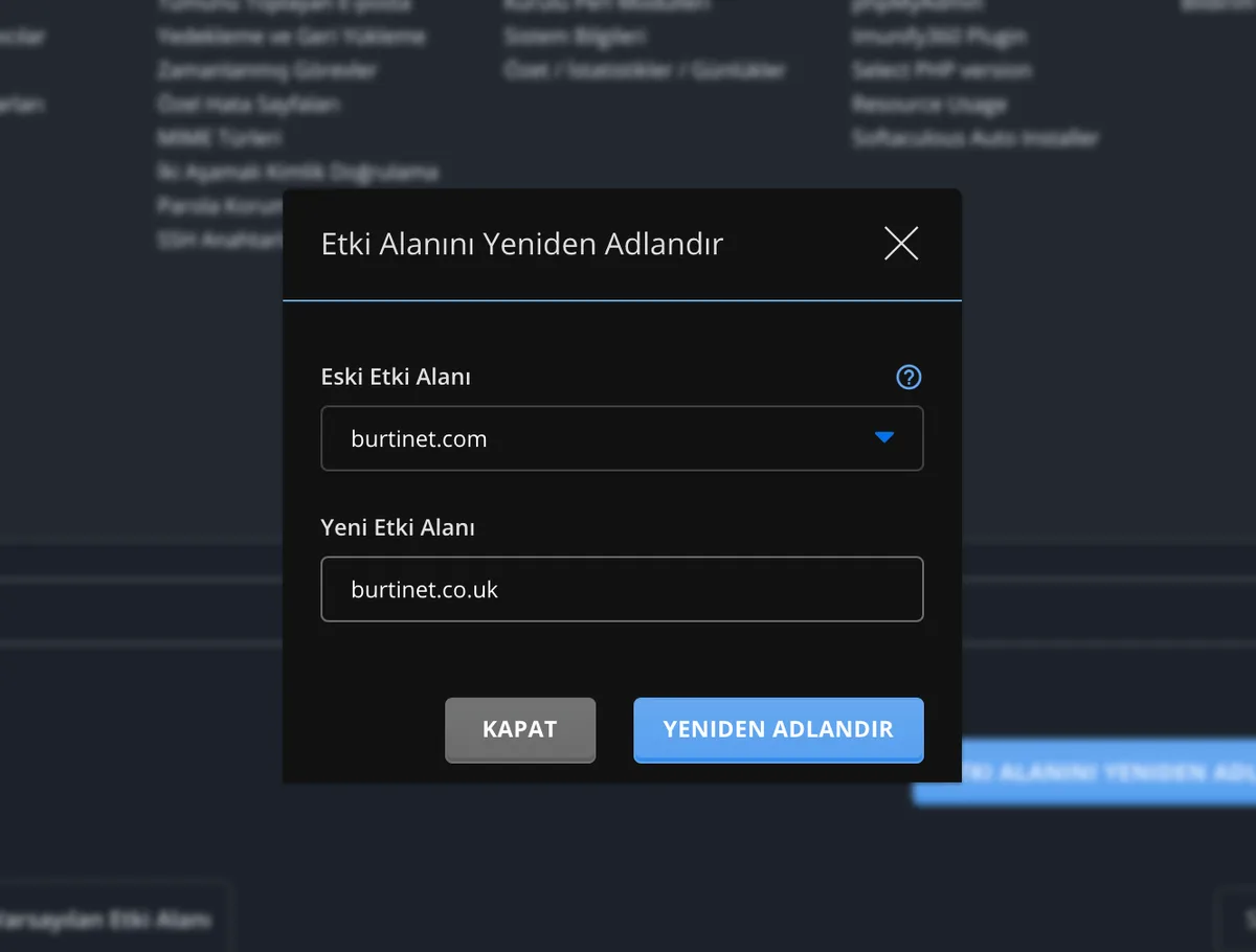DirectAdmin'de yeni alan adı girme ve Yeniden Adlandır butonuna basma ekranı