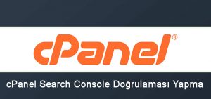 cpanel-search-console-300x141.jpg